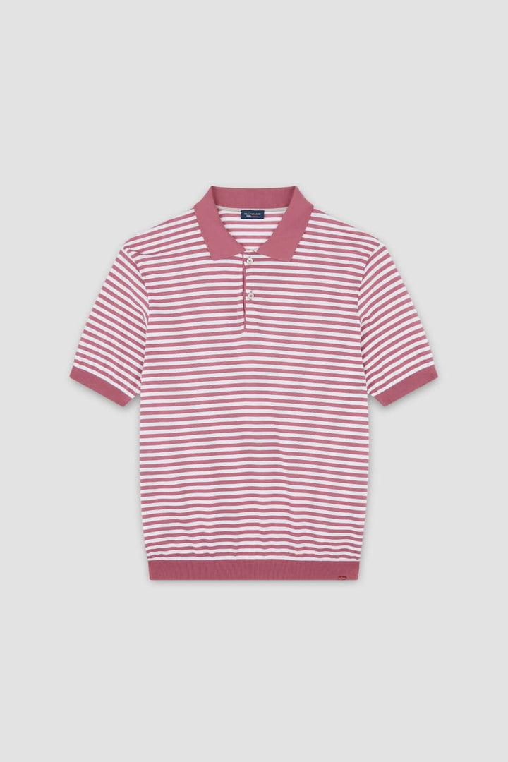 Polo en coton à rayures bicolores avec col contrastant pour un look élégant et décontracté.