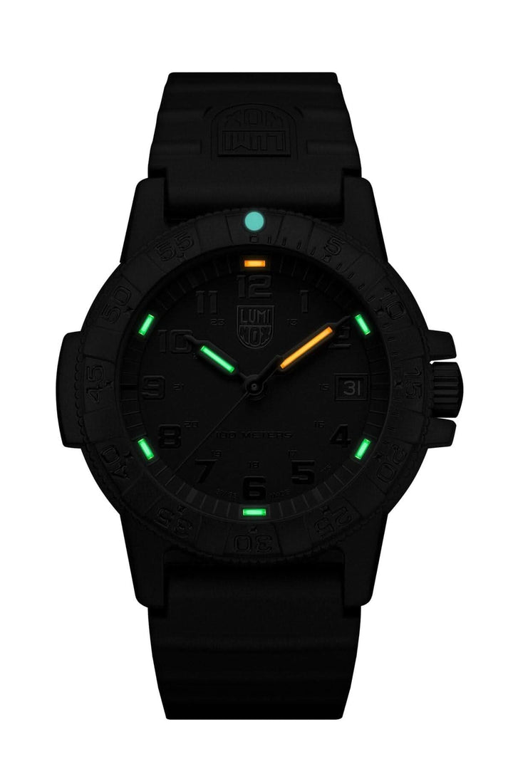 Montre Luminox Leatherback Sea Turtle, 39mm, boîtier noir, éclairage autonome, étanche jusqu'à 100 mètres.