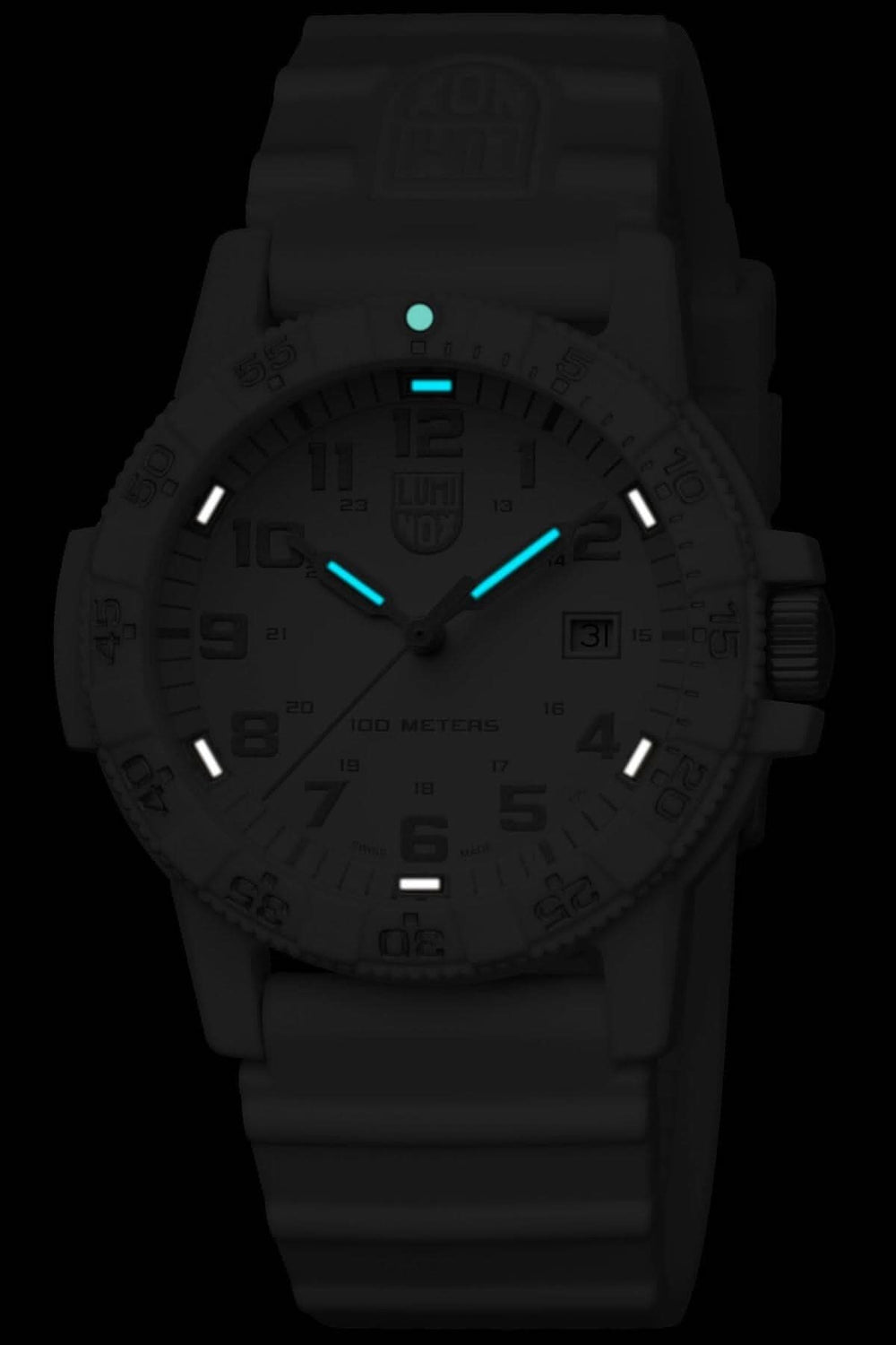 Montre Leatherback Sea Turtle Luminox avec luminosité, boîtier en carbone, 39mm, affichage de nuit.