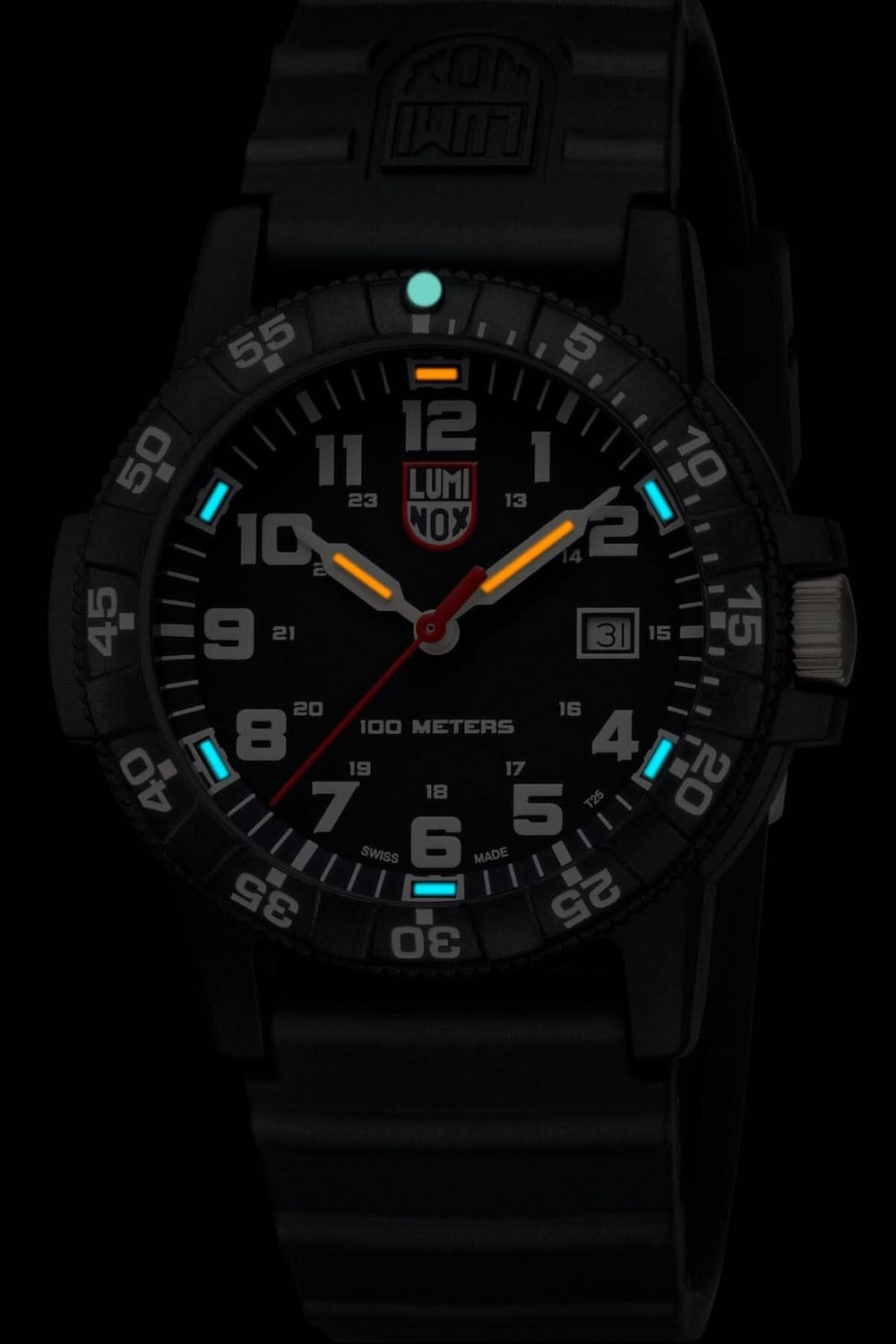 Montre Luminox Leatherback Sea Turtle, résistance à l'eau 100 mètres, éclairage autonome, mouvement à quartz.
