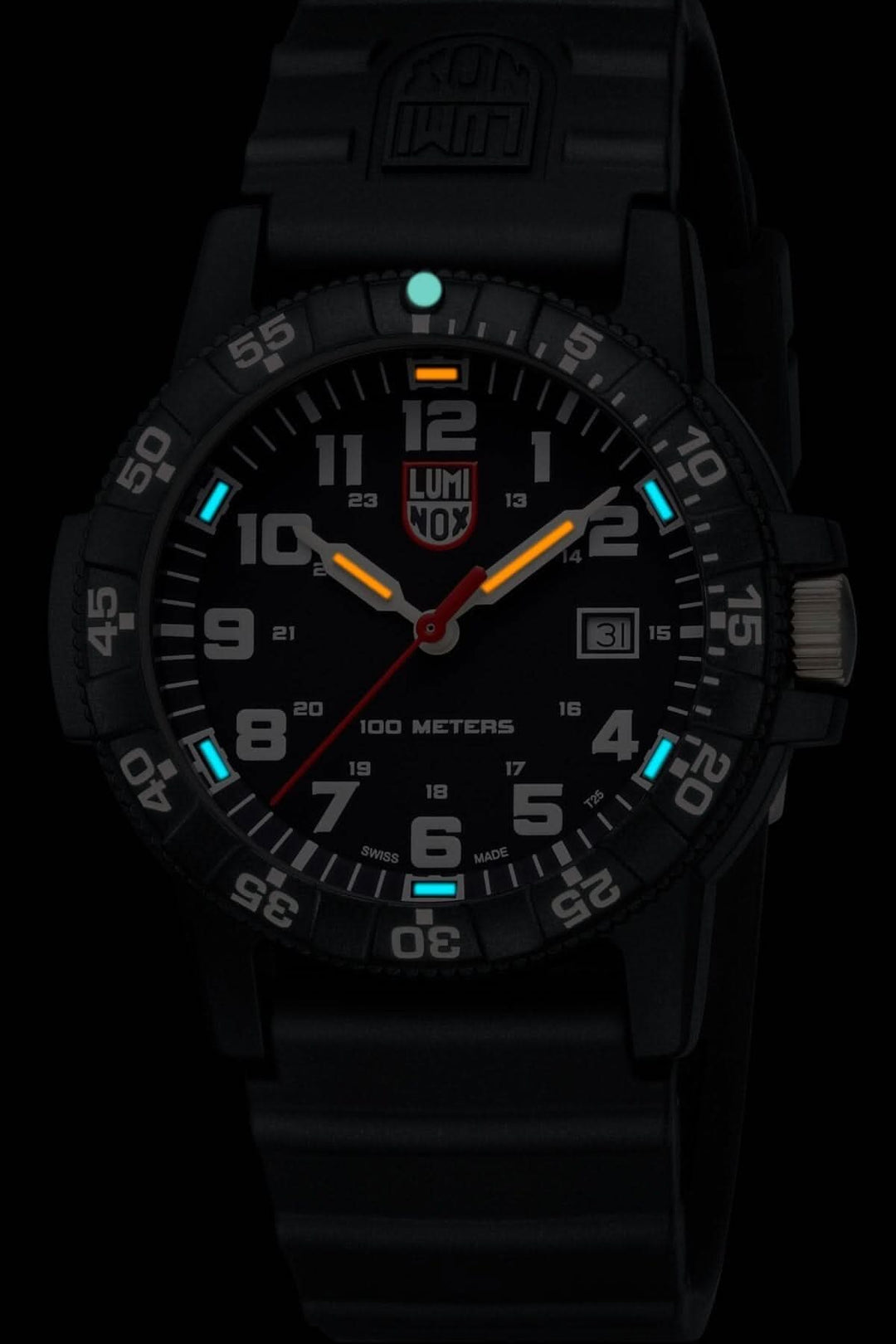 Montre Luminox Leatherback Sea Turtle, résistance à l'eau 100 mètres, éclairage autonome, mouvement à quartz.